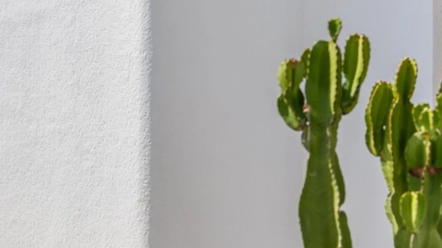 Villa de 3 dormitorios en Los Alcázares, Spain No. 31169 № 27