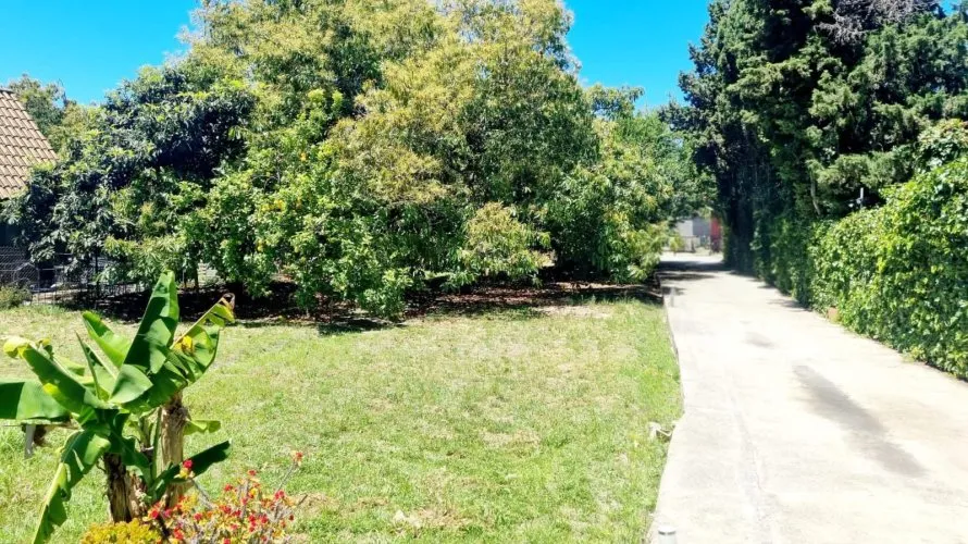 Сasa de 3 dormitorios en Cortes (San Pedro De Alcantara), Spain No. 31057 № 7