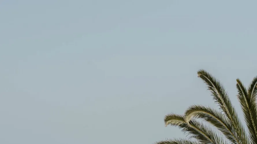 Сasa de 3 dormitorios en Marbella, Spain No. 31191 № 4