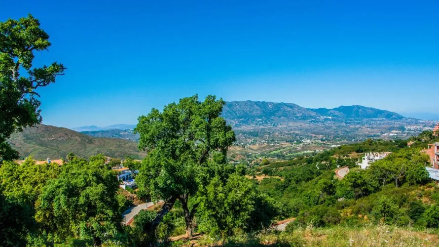 Villa de 4 dormitorios en Marbella, Spain No. 30532 № 4