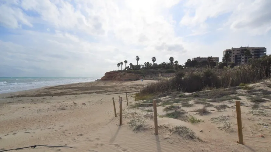 Bungalow de 2 dormitorios en Mil Palmeras, Spain No. 31252 № 20