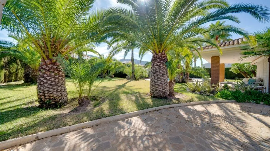 Apartamento tipo estudio Estudio en Benidorm, Spain No. 30953 № 1