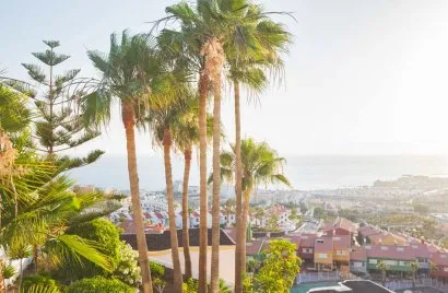 Villa de 2 dormitorios en Santa Cruz de Tenerife, Spain No. 30842