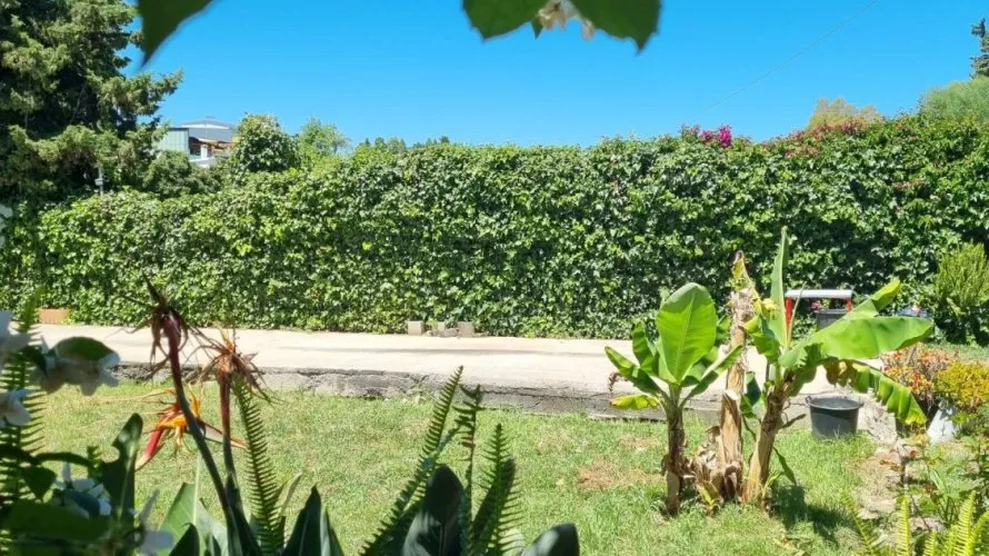 Сasa de 3 dormitorios en Cortes (San Pedro De Alcantara), Spain No. 31057 № 14