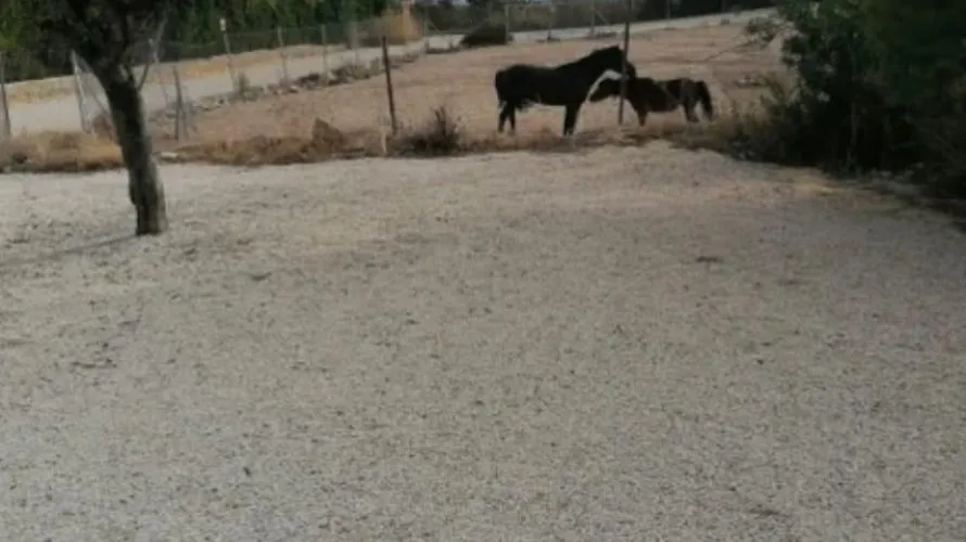 Сasa de 4 dormitorios en Villajoyosa, Spain No. 31120 № 22