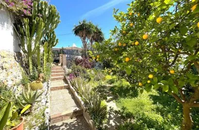 Villa de 4 dormitorios en Sotogrande, Spain No. 30760