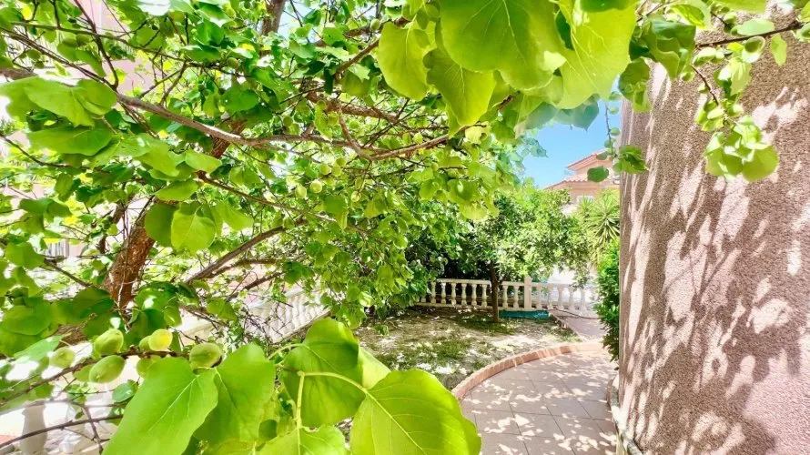 Villa de 3 dormitorios en Torrevieja, Spain No. 31013 № 18