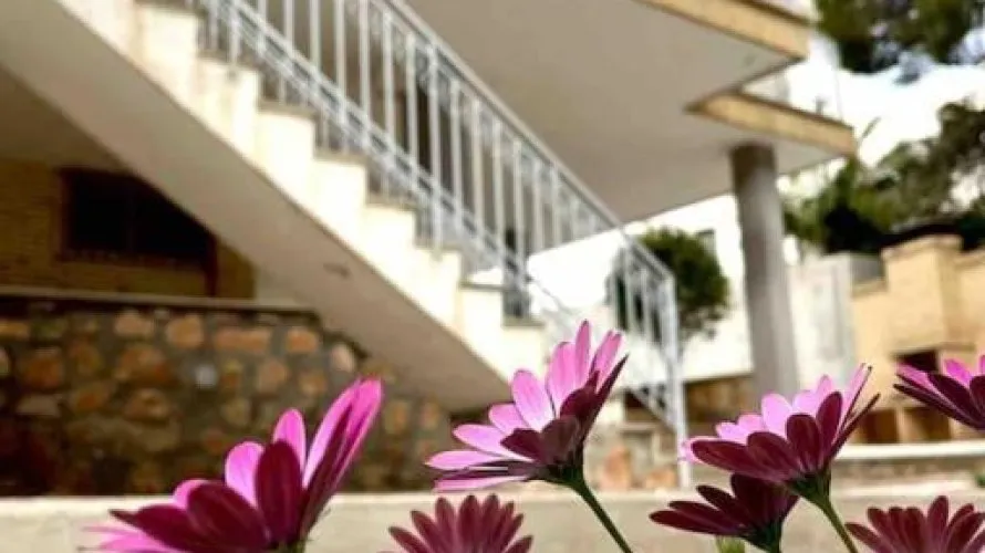 Villa de 4 dormitorios en Campoamor, España No. 32018 № 25