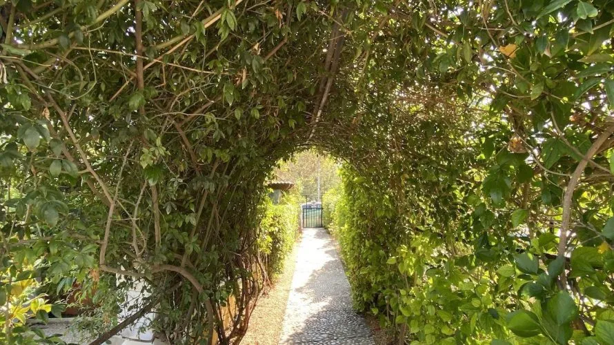 Villa de 4 dormitorios en L'Alfàs del Pi, España No. 31942 № 16
