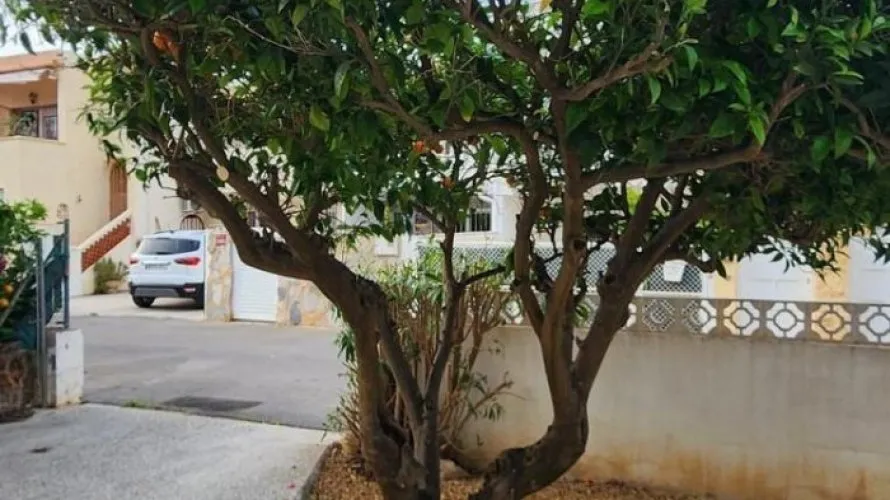 Сasa de 3 dormitorios en Albir, Spain No. 32278 № 2