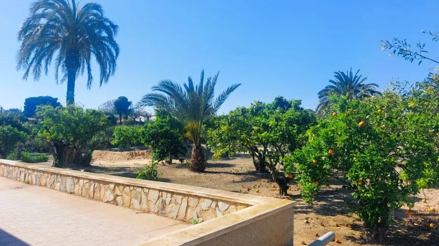 Сasa de 5 dormitorios en La Marina, España No. 32339 № 9