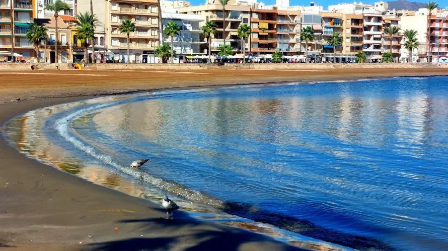 Villa de 3 dormitorios en Fuente Álamo de Murcia, España No. 32330 № 26