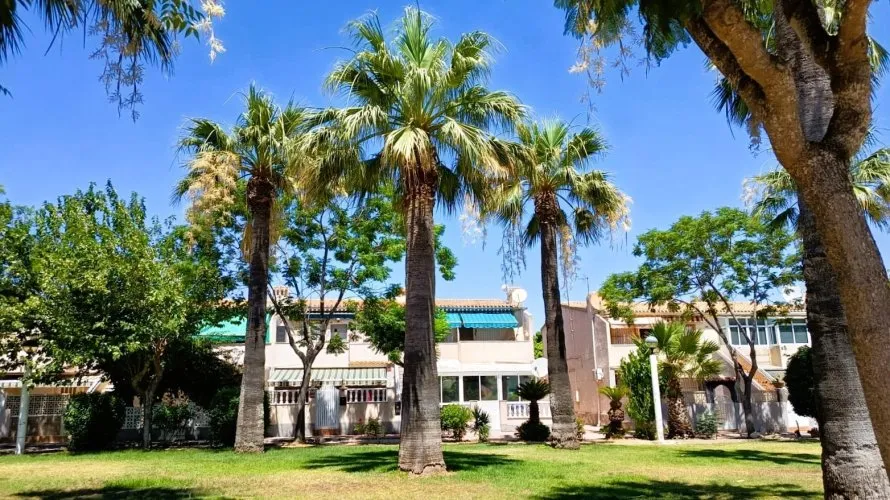 Bungalow de 2 dormitorios en La Regia, España No. 32429 № 2