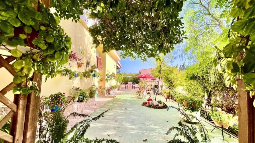 Villa de 3 dormitorios en Daya Vieja, España No. 32555 № 9