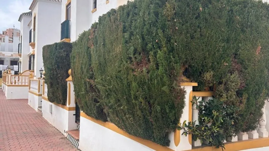 Bungalow de 2 dormitorios en Torrevieja, España No. 32553 № 1