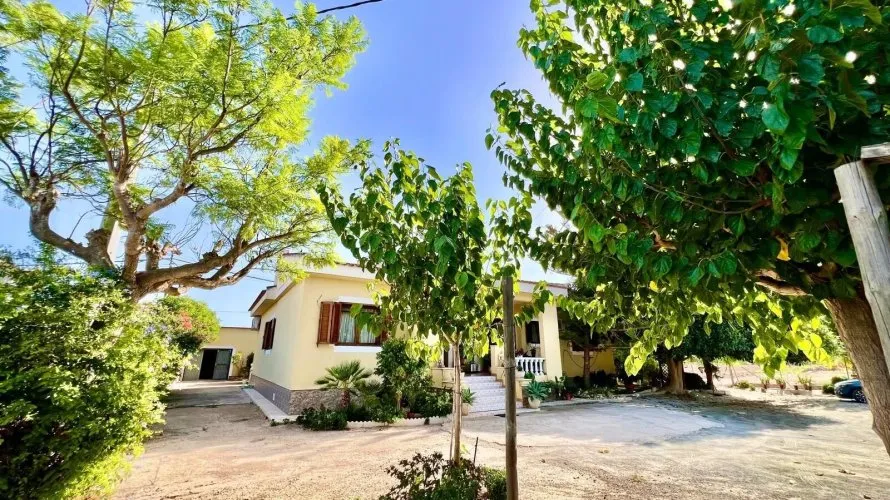 Villa de 3 dormitorios en Daya Vieja, España No. 32555 № 22