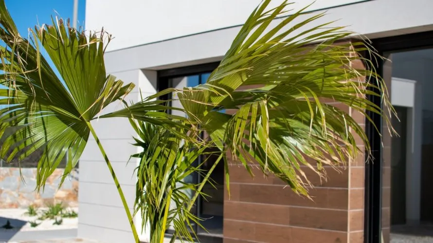 Villa de 3 chambres à Los Montesinos, Spain No. 30795 № 18