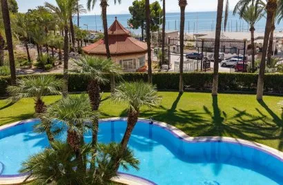 House de 640m² à Cullera, Spain No. 30934