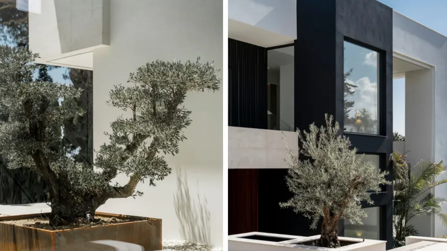 Villa de 5 chambres à Marbella, Spain No. 30728 № 8