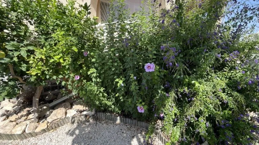 Villa de 163m² à Algorfa, Spain No. 31237 № 10