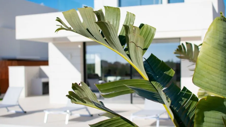 Villa de 3 chambres à Los Montesinos, Spain No. 30795 № 16