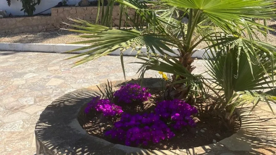 Villa de 4 chambres à Albir, Spain No. 30982 № 11