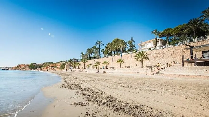 Villa de 4 chambres à Torrevieja, Espagne No. 31932 № 1