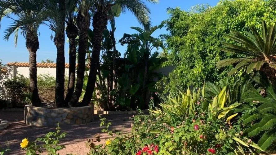 Villa de 236m² à Rojales, Espagne No. 32315 № 22