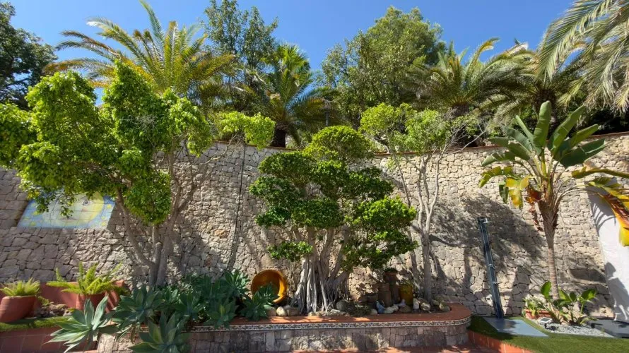 Villa de 4 chambres à La Pedrera, Espagne No. 32388 № 19