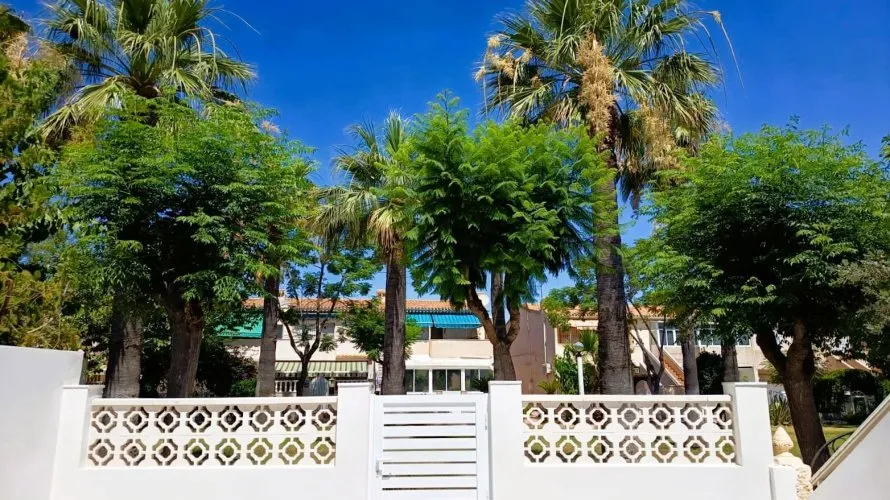 Bungalow de 2 chambres à La Regia, Espagne No. 32429