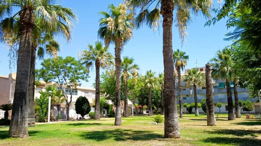 Bungalow de 2 chambres à La Regia, Espagne No. 32429 № 3