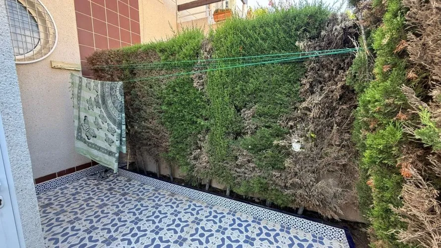Bungalow de 2 chambres à Torrevieja, Espagne No. 32535 № 14