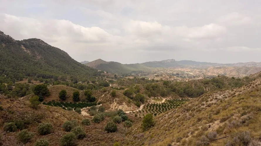 Villa de 3 chambres à Murcia, Espagne No. 32503 № 20