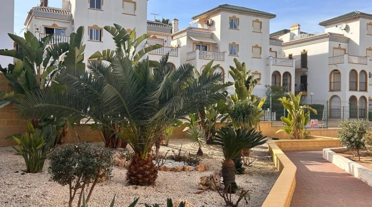 Bungalow de 2 chambres à Torrevieja, Espagne No. 32553