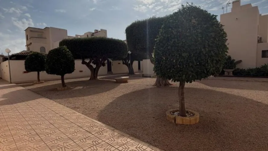 Bungalow de 1 chambre à Torrevieja, Espagne No. 32642