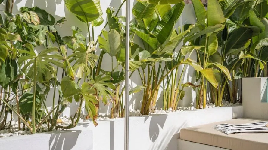 Таунхаус с 4 спальнями в  Нуэва Андалусия, Испания №30615 № 9