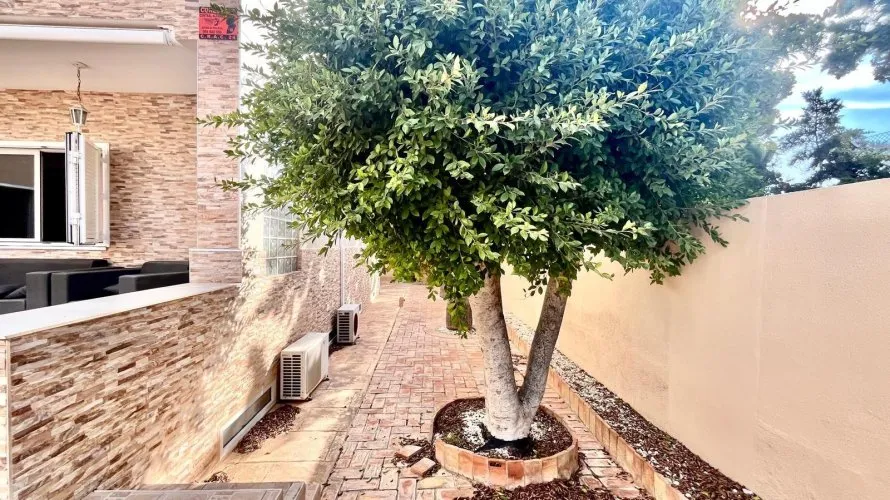 Вилла с 4 спальнями в  Торревьеха, Испания №31260 № 13