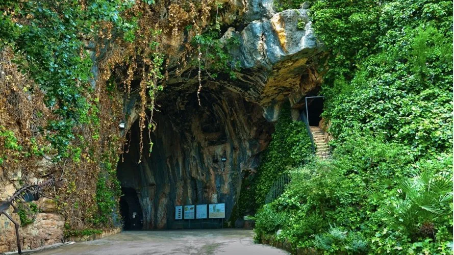 Вилла с 3 спальнями в  Педрегер, Испания №30835 № 17