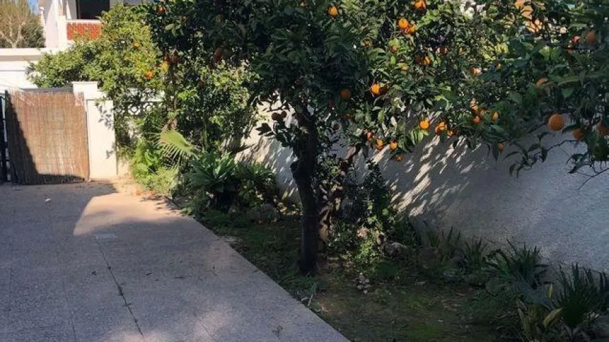 Дом с 3 спальнями в  Альбир, Испания №31015 № 1