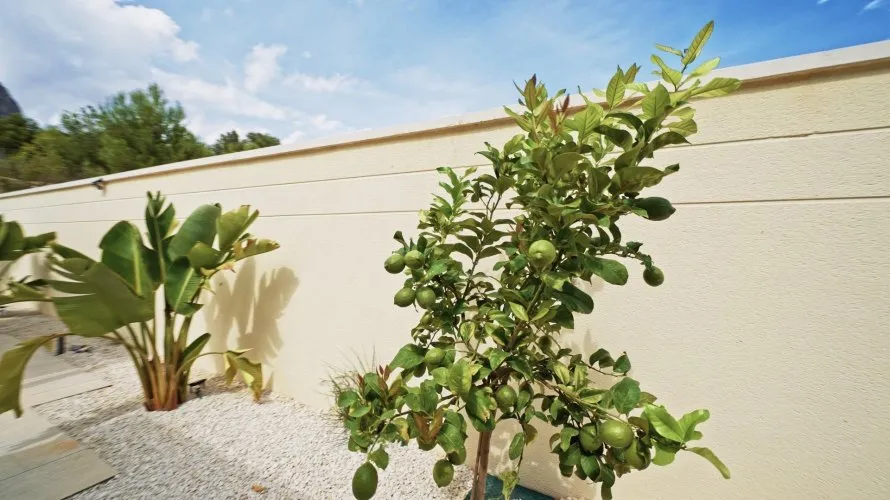 Вилла с 3 спальнями в  Полоп, Испания №30922 № 8