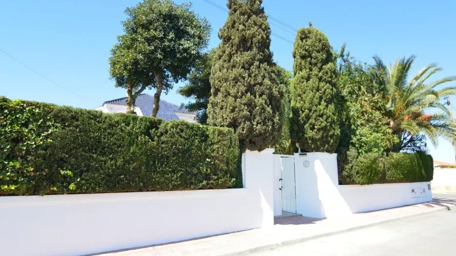 Вилла с 4 спальнями в  Торревьеха, Испания №30945 № 5