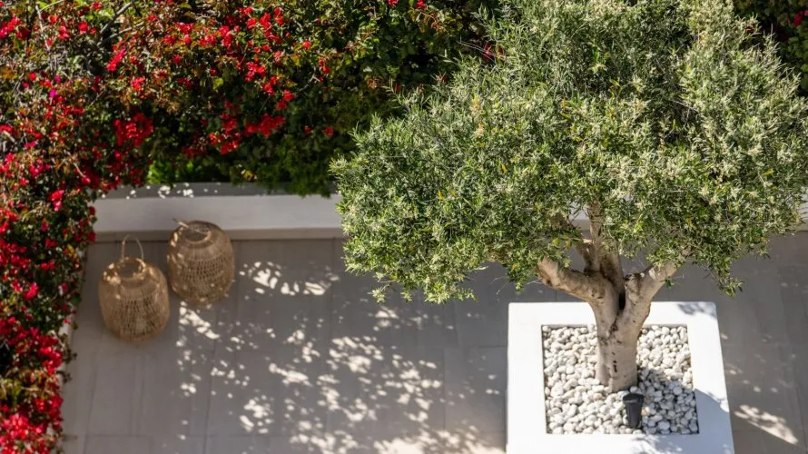 Таунхаус с 4 спальнями в  Нуэва Андалусия, Испания №30628 № 6