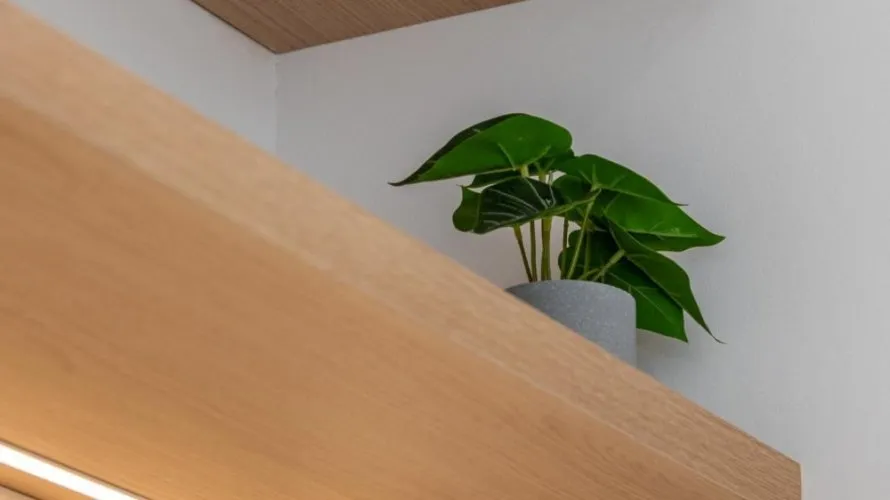 Вилла с 3 спальнями в  Долорес, Испания №30678 № 24