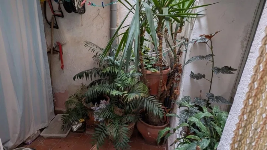 Дом 117м² в  Ла Нусия, Испания №30694 № 11