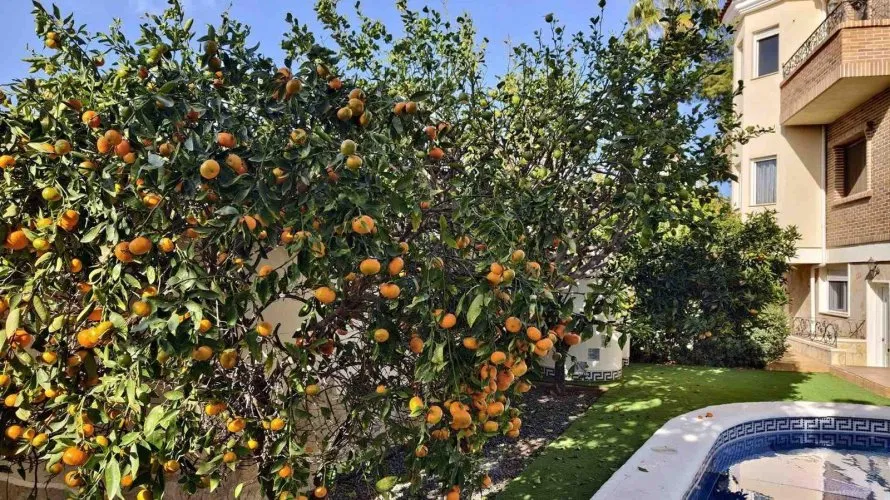 Вилла с 5 спальнями в  Сьюдад Кесада, Испания №30721 № 10