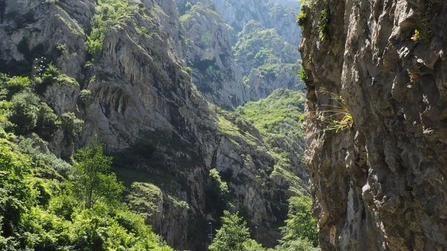 Вилла 135м² в Теверга, Испания №32457 № 5