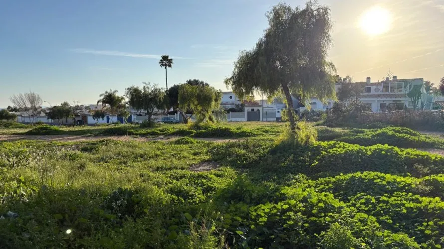 3 bedrooms house for sale , La Florida, Spain No. 31266 № 22