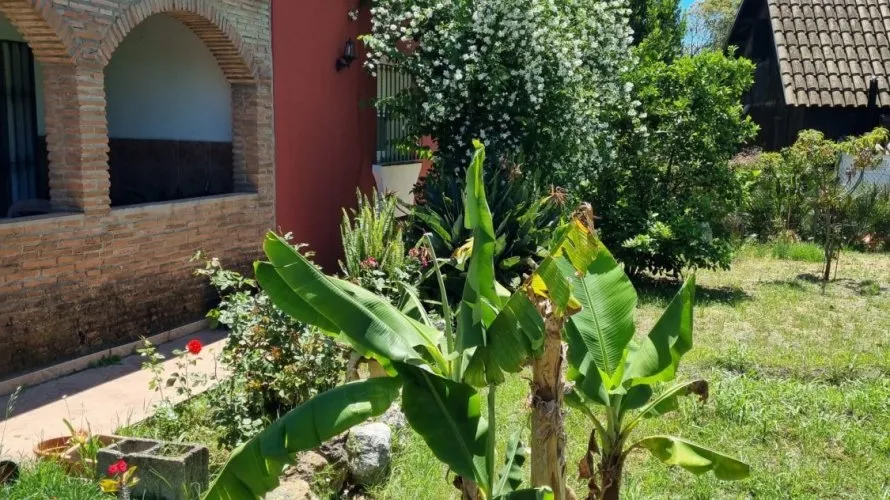 3 bedrooms house for sale , Cortes (San Pedro De Alcantara), Spain No. 31057 № 16