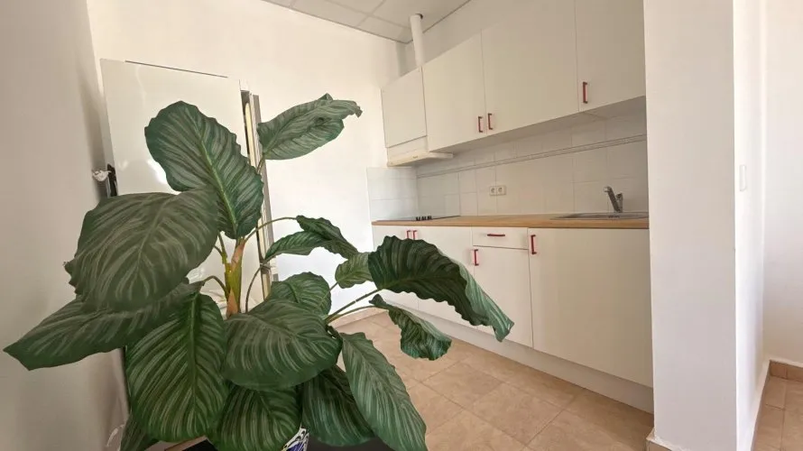 384m² villa for sale , Calpe, Spain No. 31197 № 8