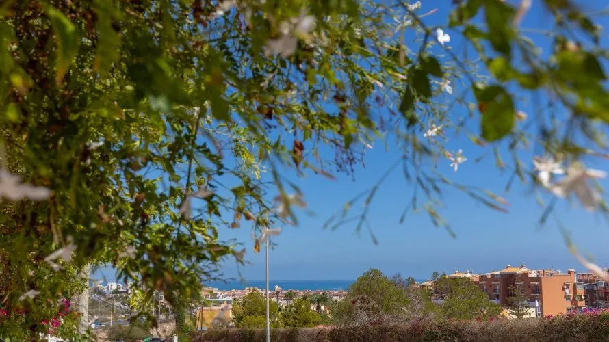 4 bedrooms bungalow for sale , Torrevieja, Spain No. 30684 № 26